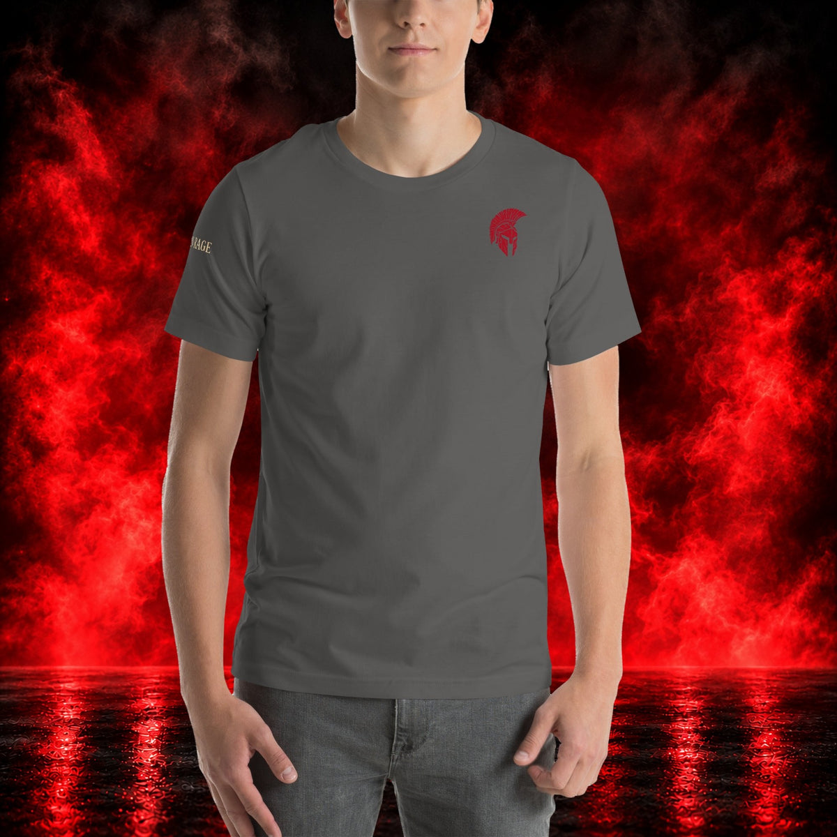 Spartan Ronin T-Shirt — Printful product mockup